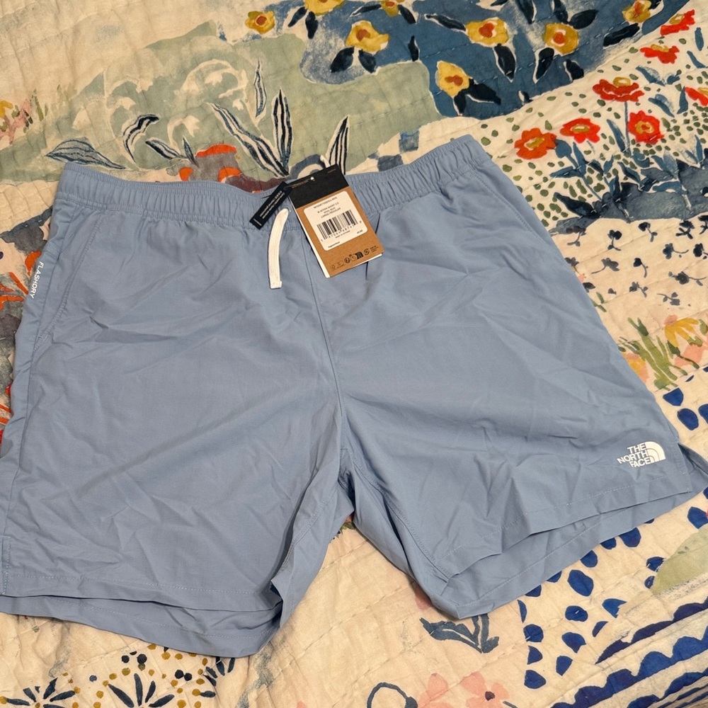The North Face Light Blue Athletic Shorts